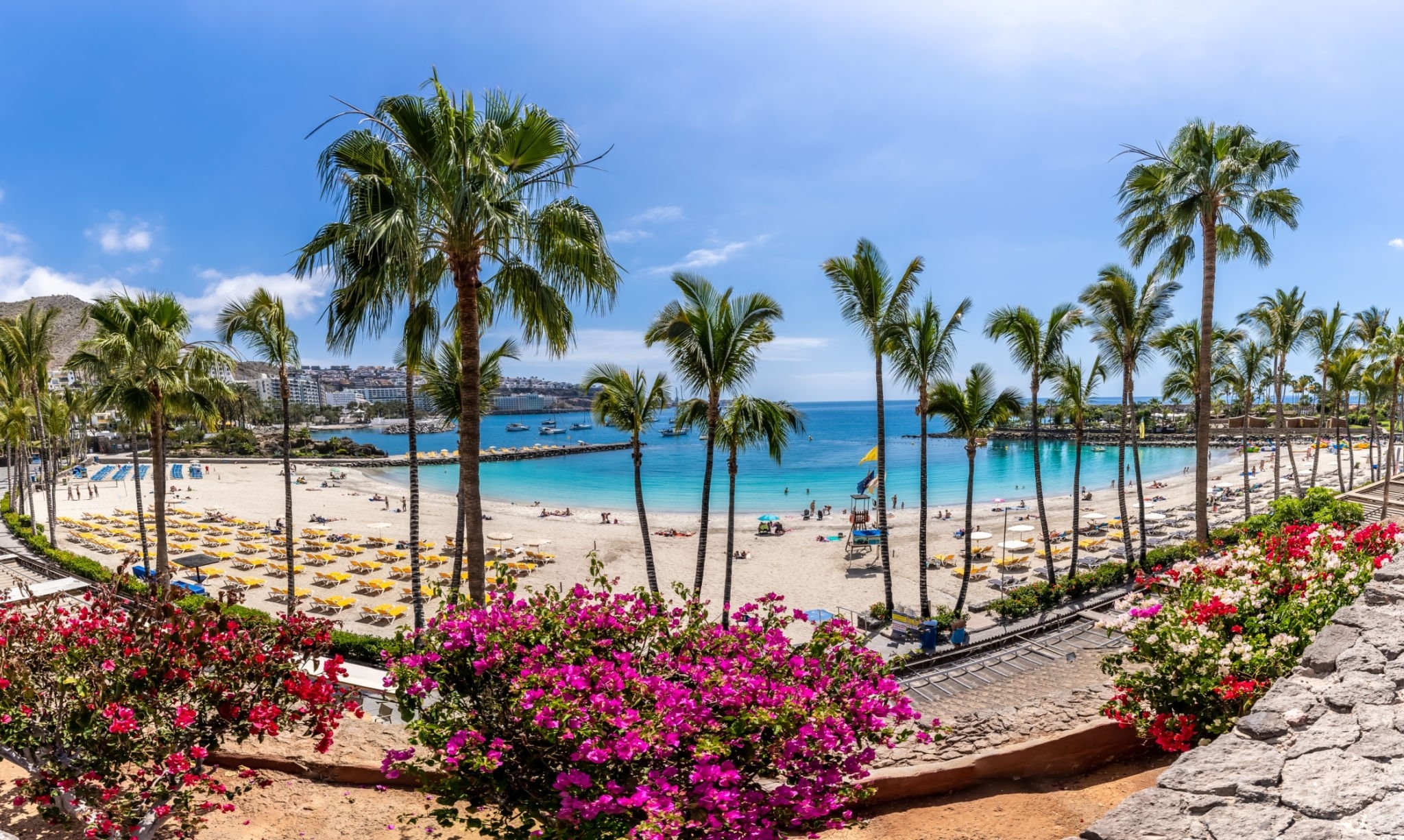 Palmeras y buganvillas junto a la playa de Anfi del Mar