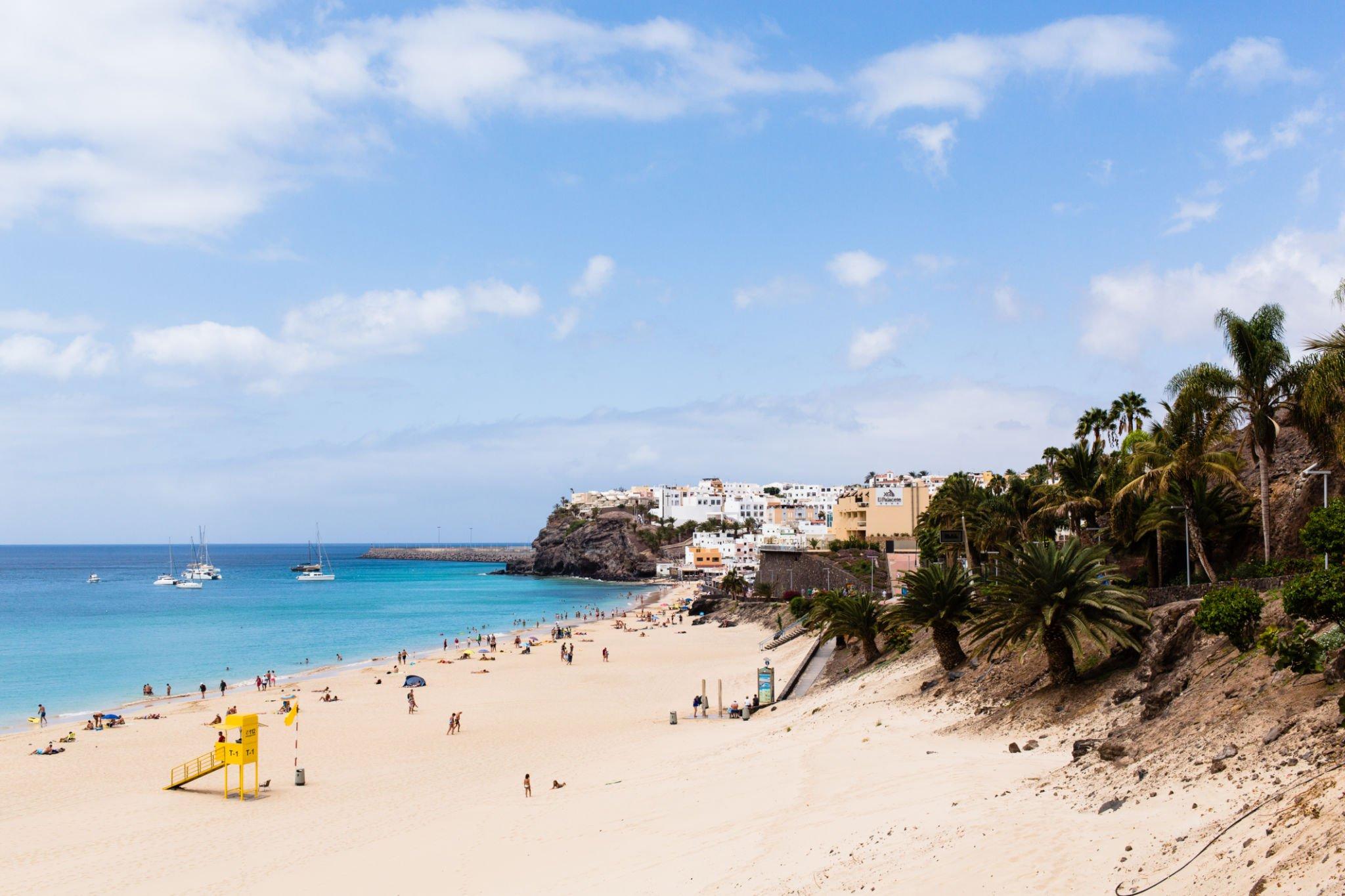 Playa de Morro Jable con palmeras y el pueblo sobre el acantilado