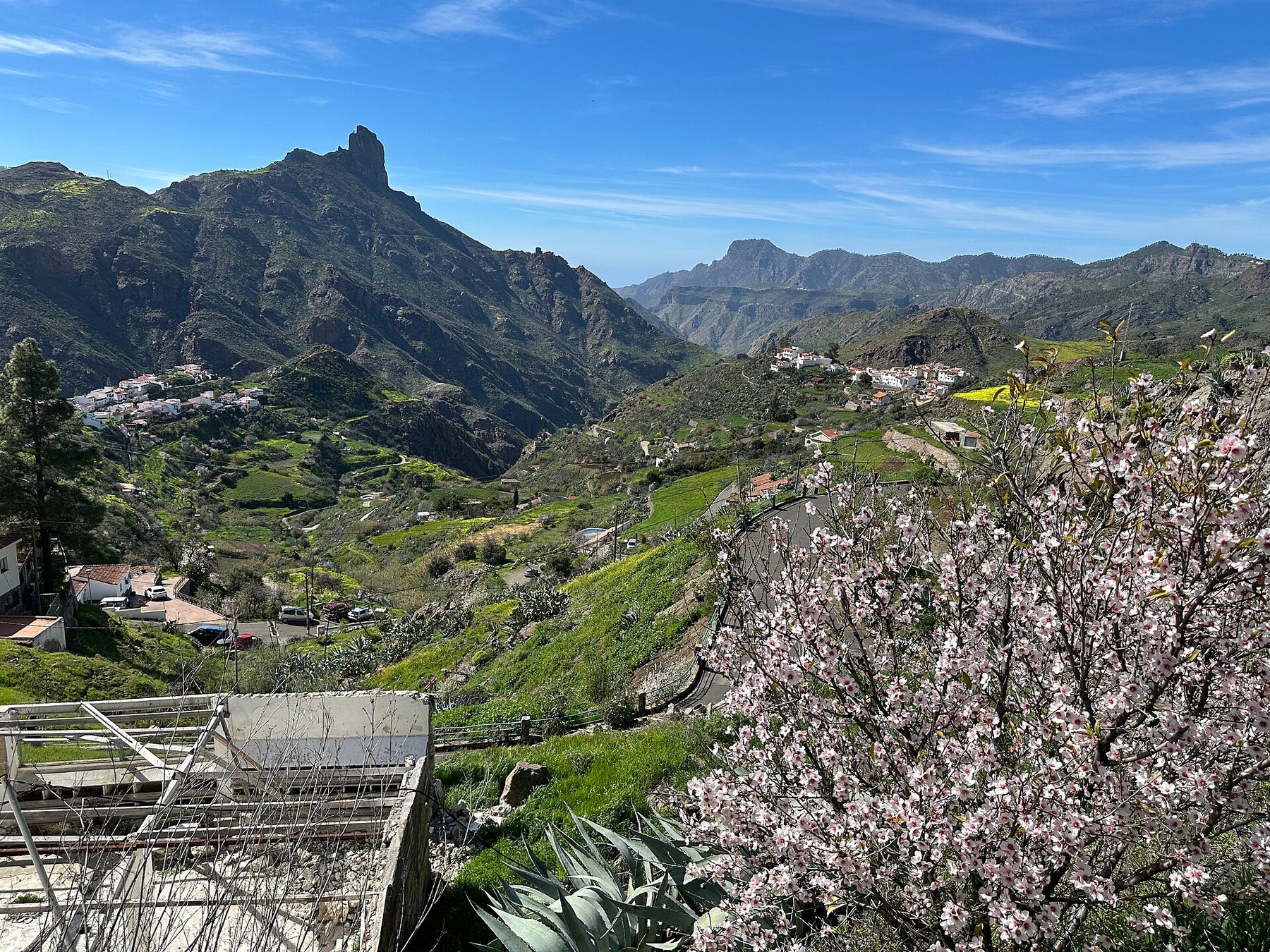 Almendros en flor y el Roque Bentayga sobre el valle de Tejeda
