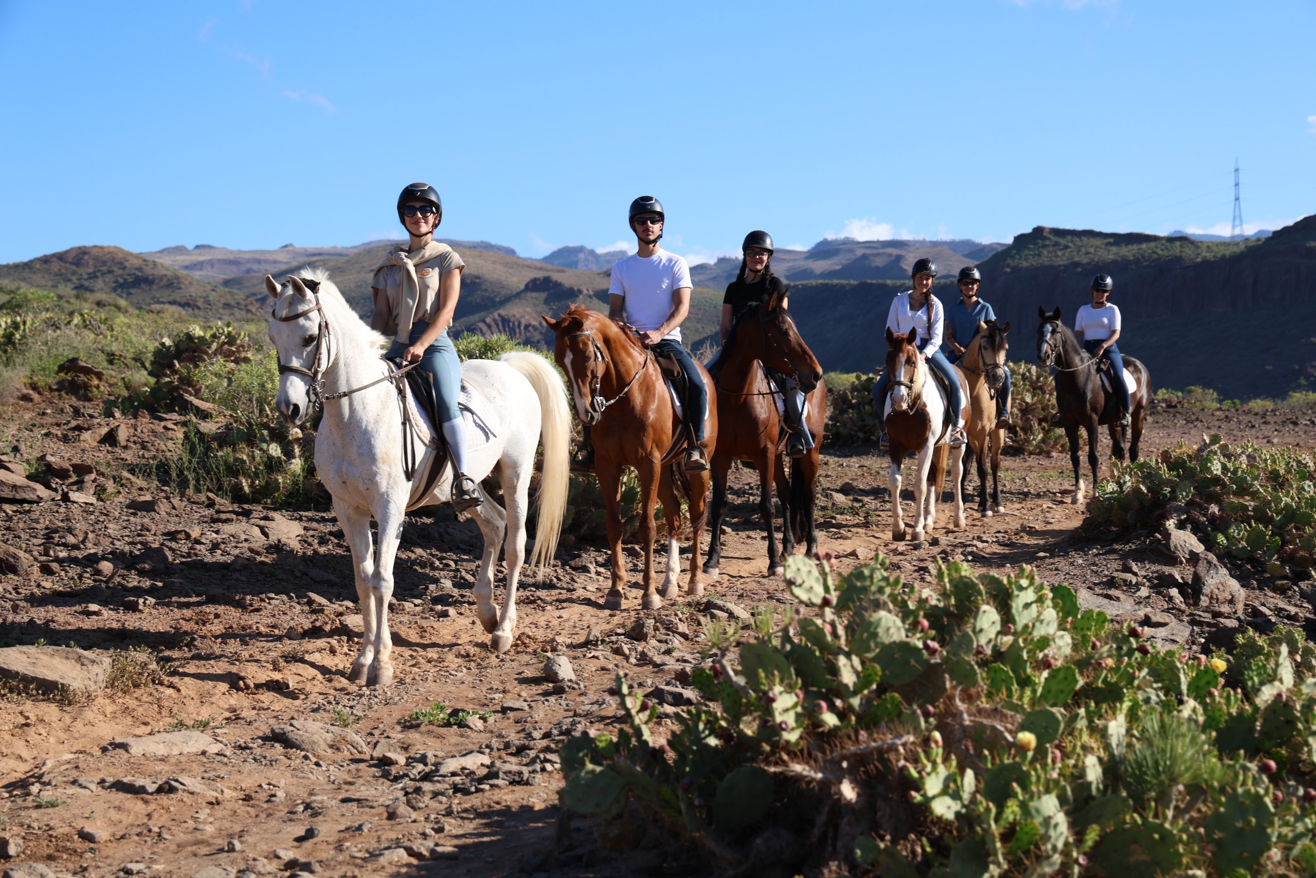 1-hour horseback ride (self-drive)