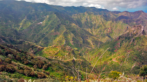 Ruta Cruz del Carmen – Chinamada – Punta del Hidalgo