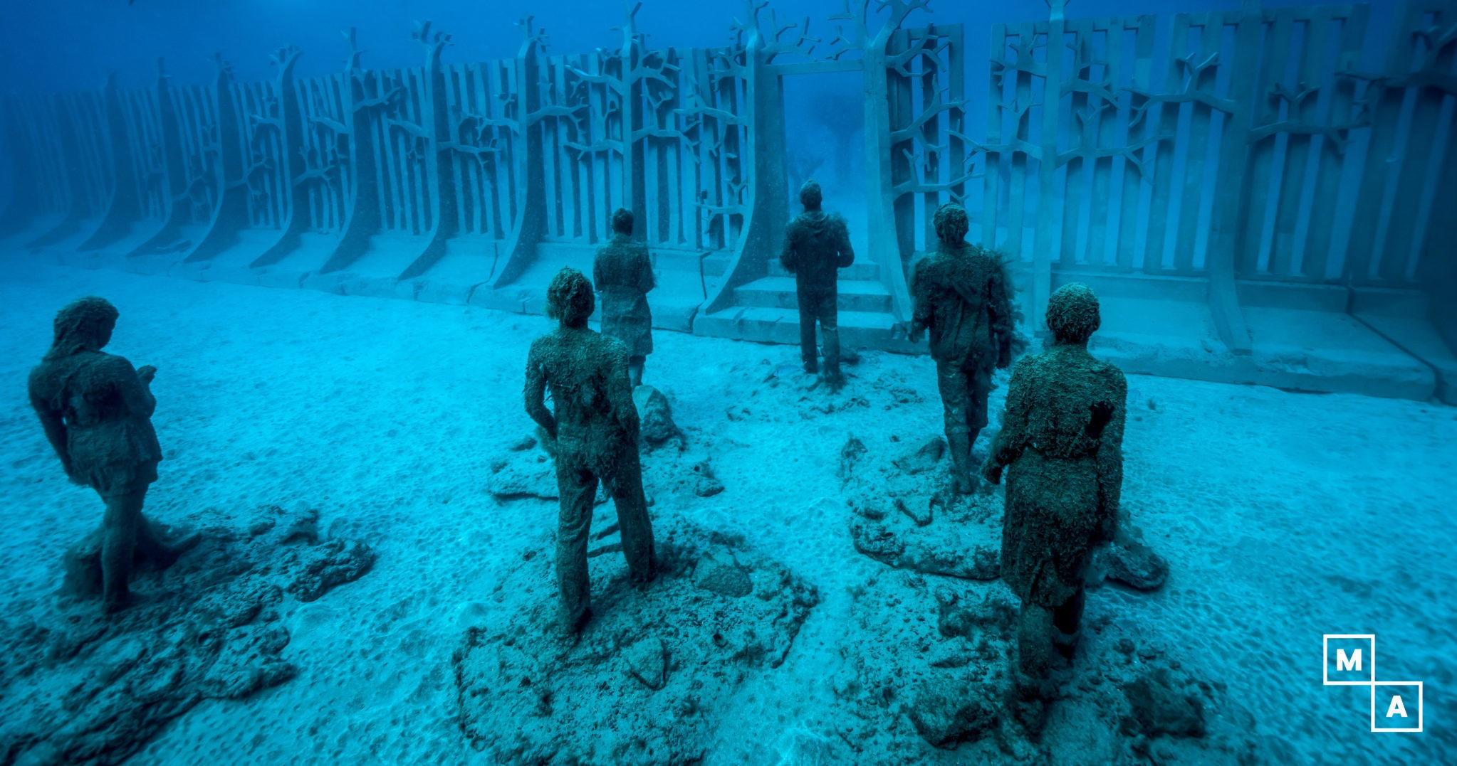 Discovery dive at Museo Atlántico