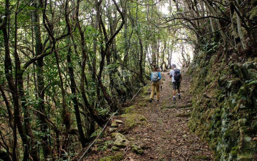Ruta de senderismo Taborno - Tenerife