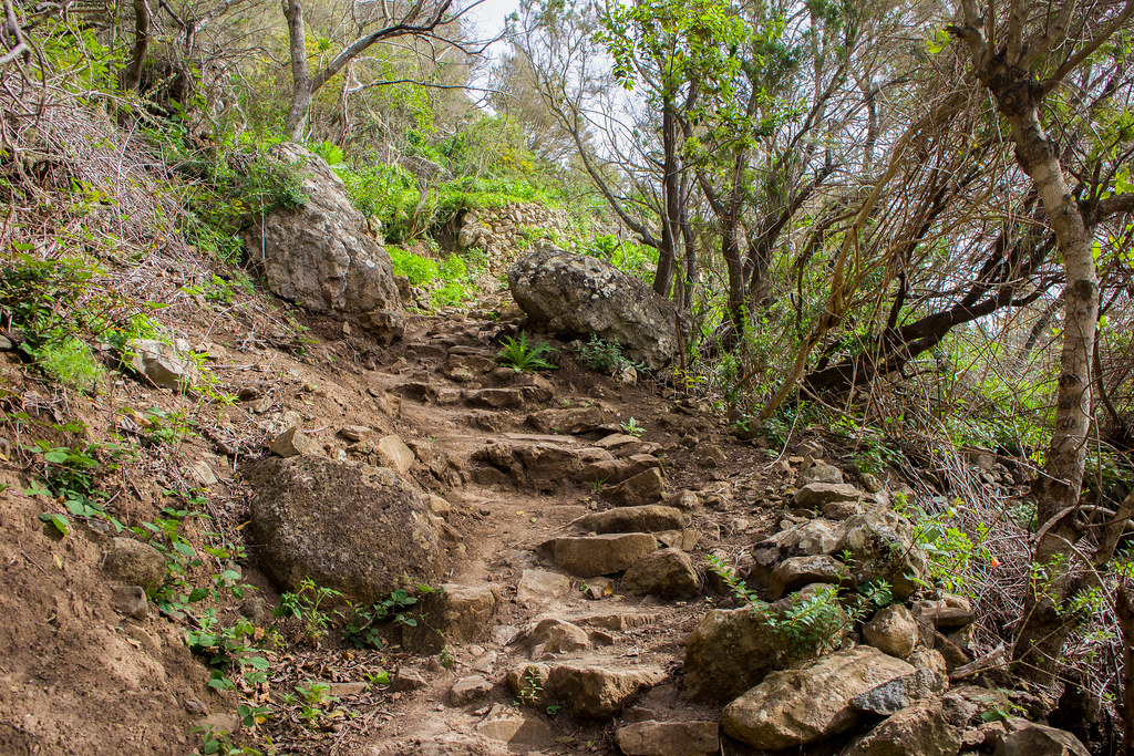 Ruta de senderismo Chamorga - Tenerife, Anaga