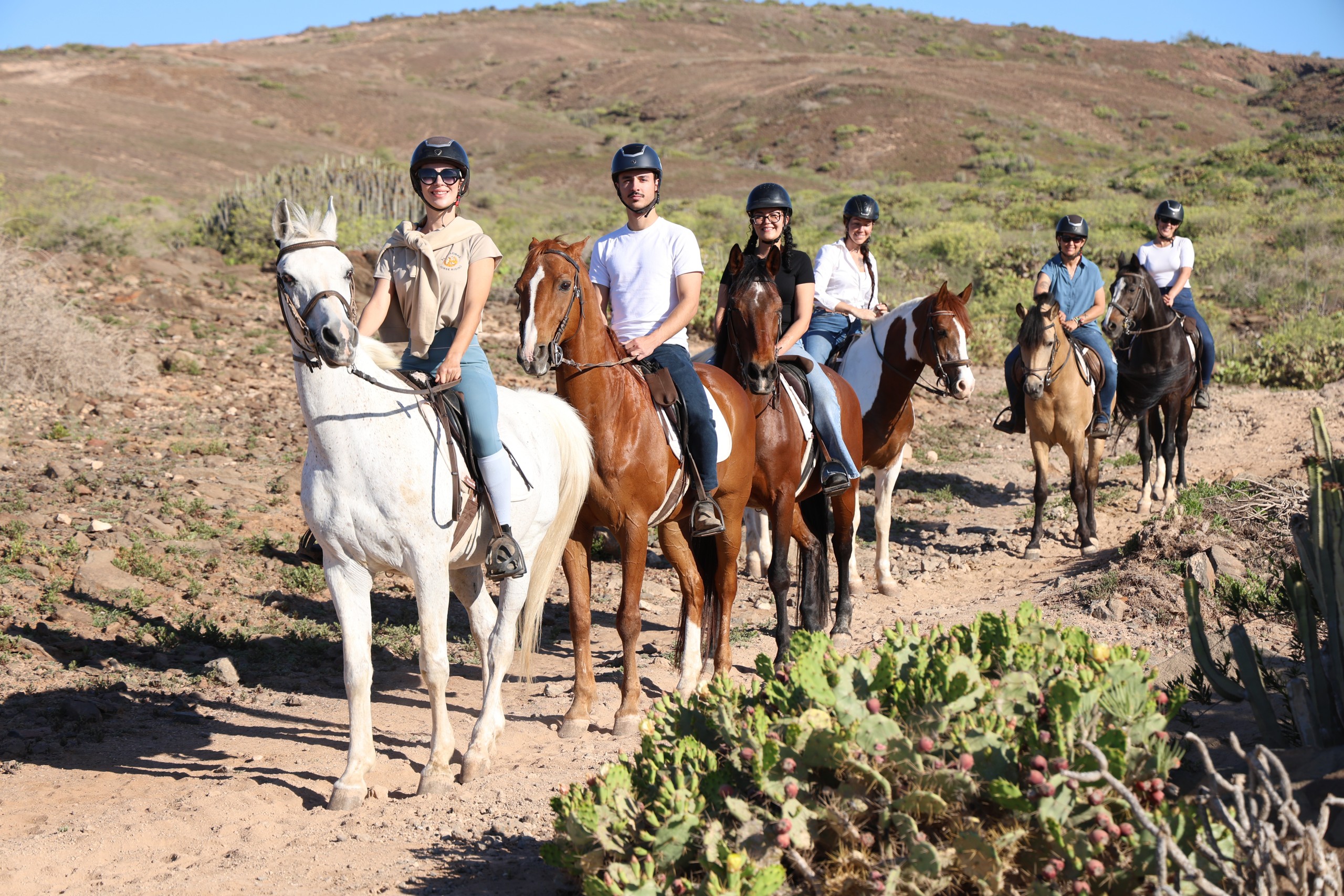 1-hour horseback ride with transfer