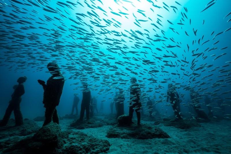 Single dive at the Atlantic Museum
