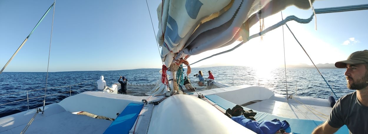 Sunset Experience on a silent catamaran