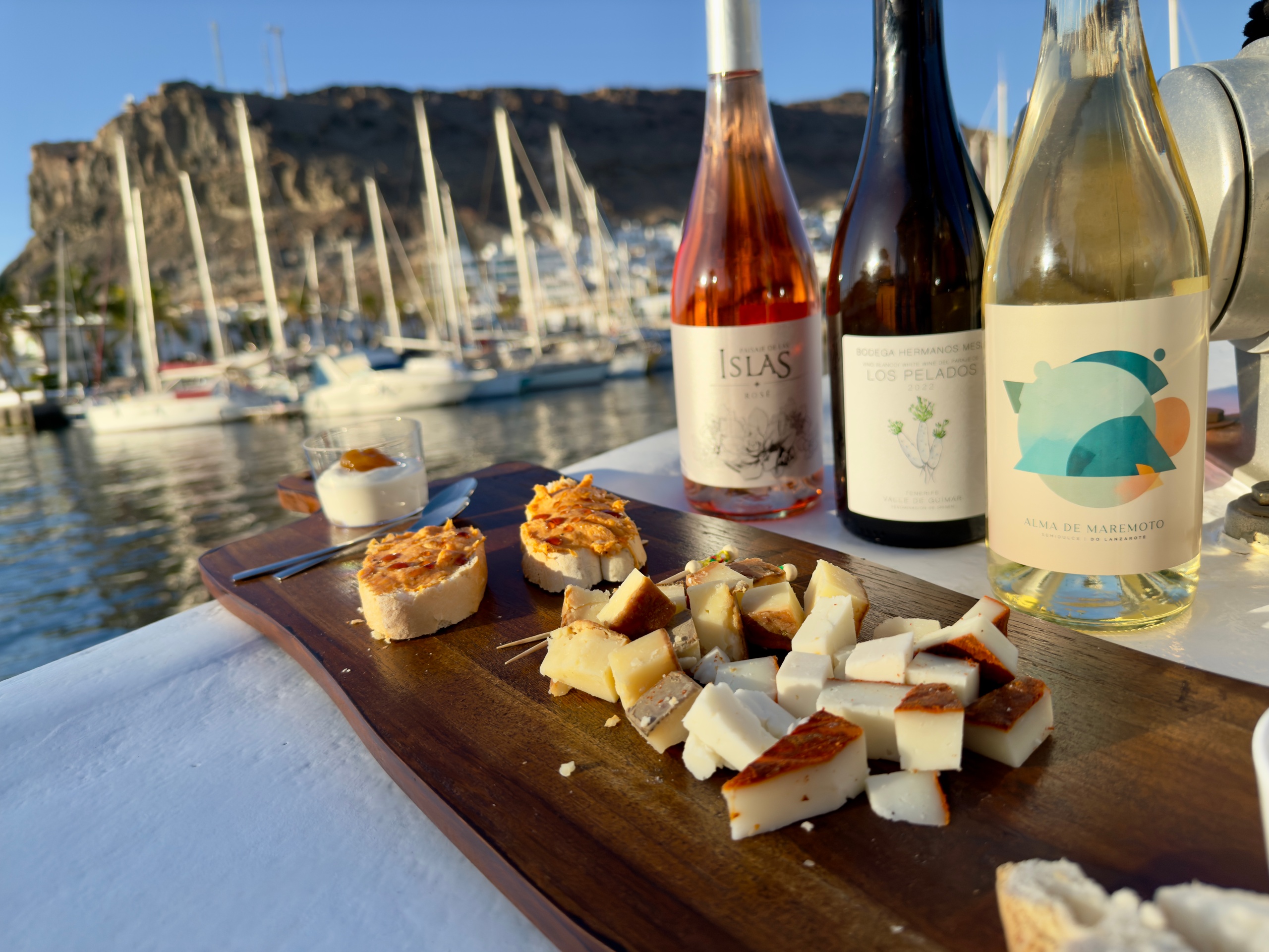 Tour en barco 3 h con degustación